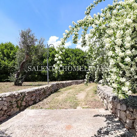 Sh-salento Giodi *